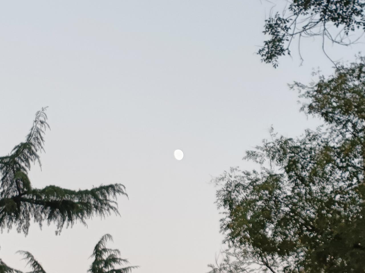 确诊肺腺癌晚期，如今已满30个月，一直坚持服用奥希替尼靶向治疗。
昨日清晨突发腹