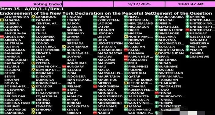 联合国大会通过了决议支持有关实施“两国方案”的纽约宣言，万万没想到德国也投了赞同