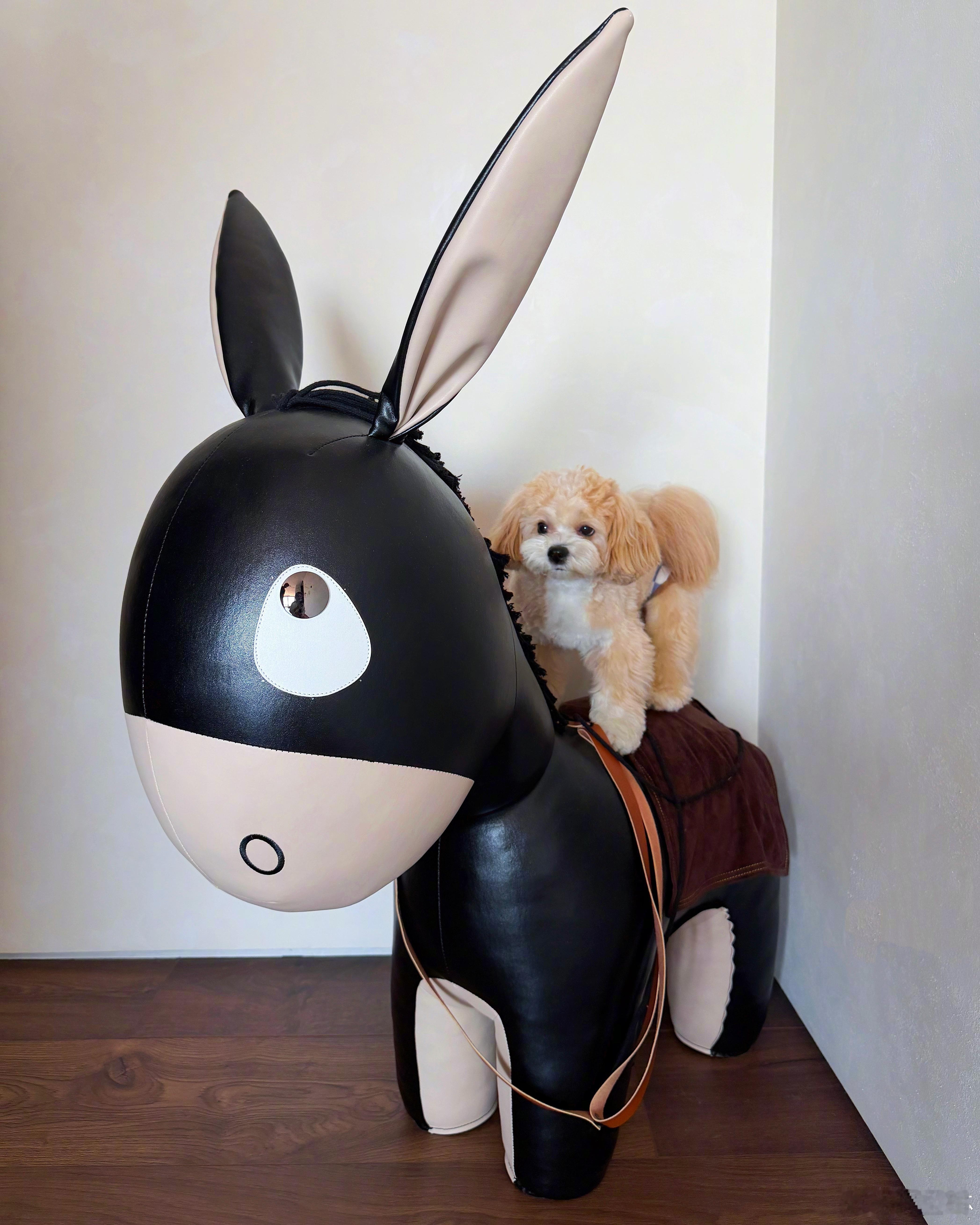 一家三口 