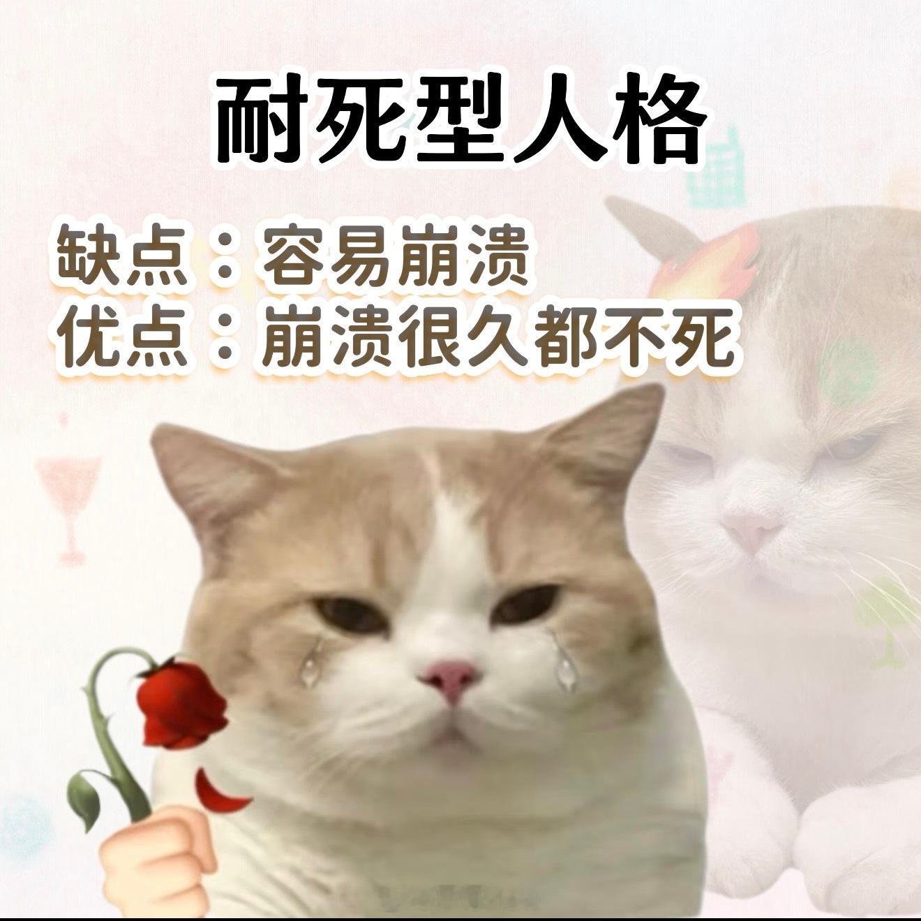 工作倒贴行为为了提高工作效率，自己买咖啡提神。为了尽快完成工作，午饭晚饭就随便对