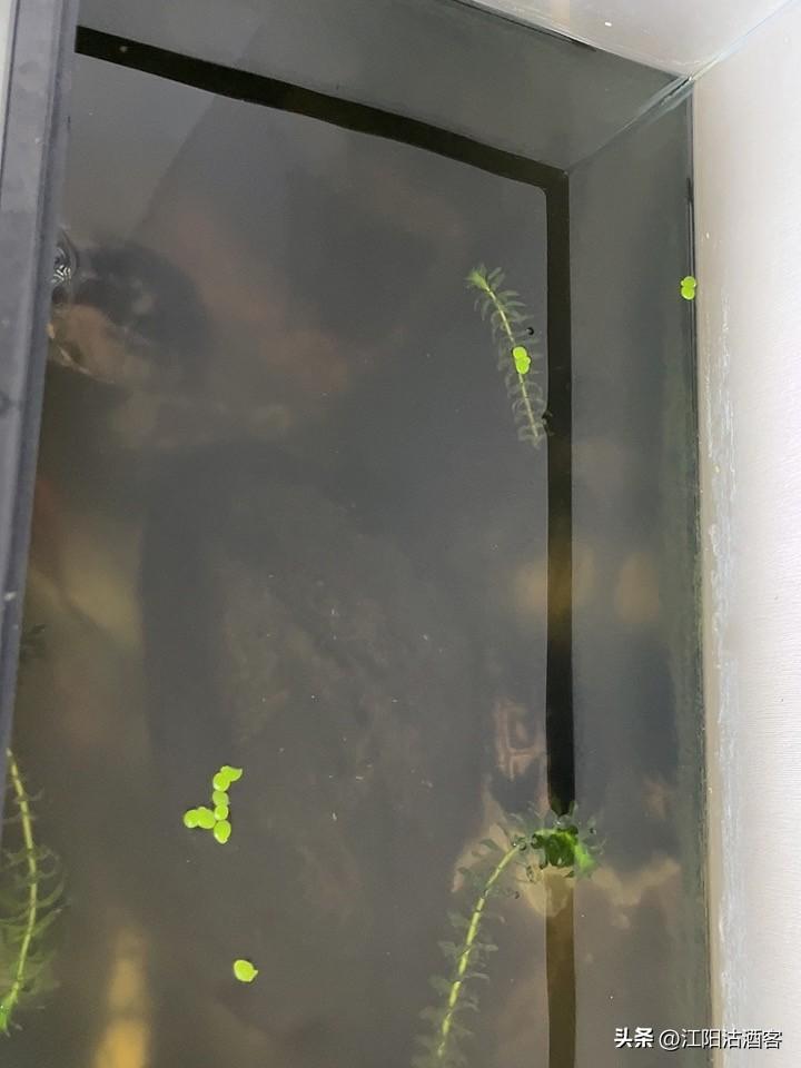 别看这个空间不大，但是却给我很放松的感觉，这就是生活