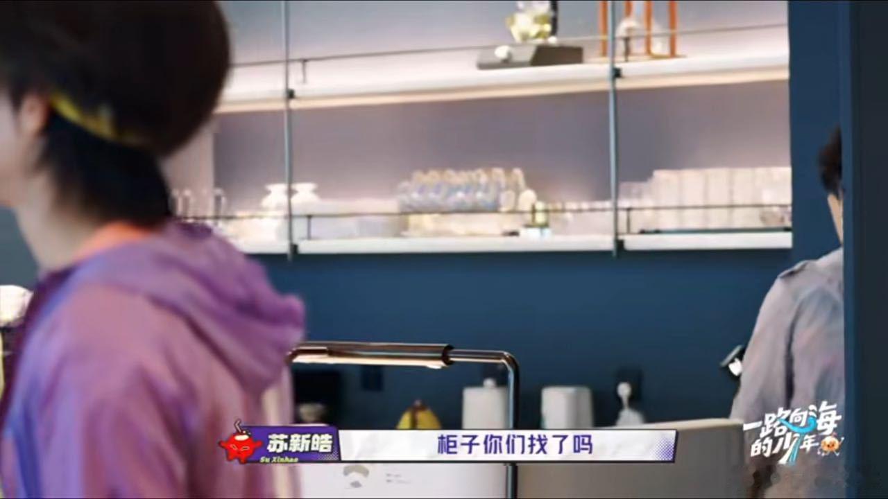 苏新皓不语只是一味地找柜子我做无用功就苏新皓这样一路向海的少年 苏新皓找盒子，沉