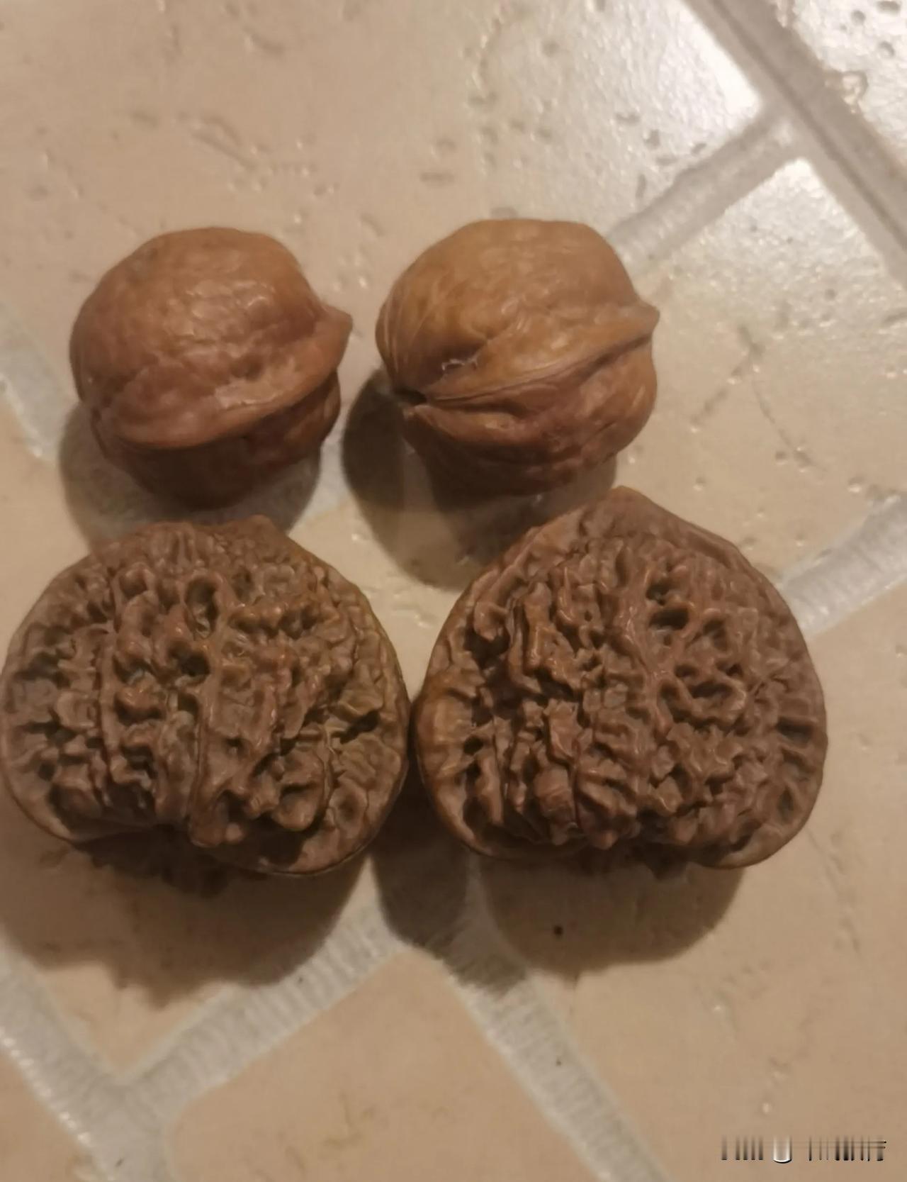 第三次第五天了，这对核桃买来的时候皮质有点发霉，不够亮，感觉也是不成熟。
