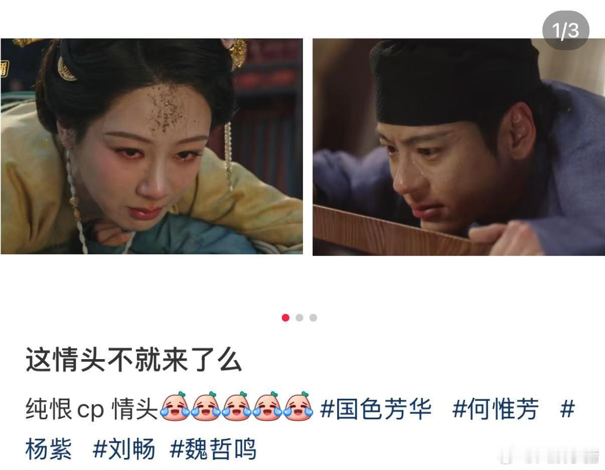 杨紫魏哲鸣新剧纯恨cp情头  天赋型选手的镜头语言太绝了，纯恨CP的情感纠葛看得