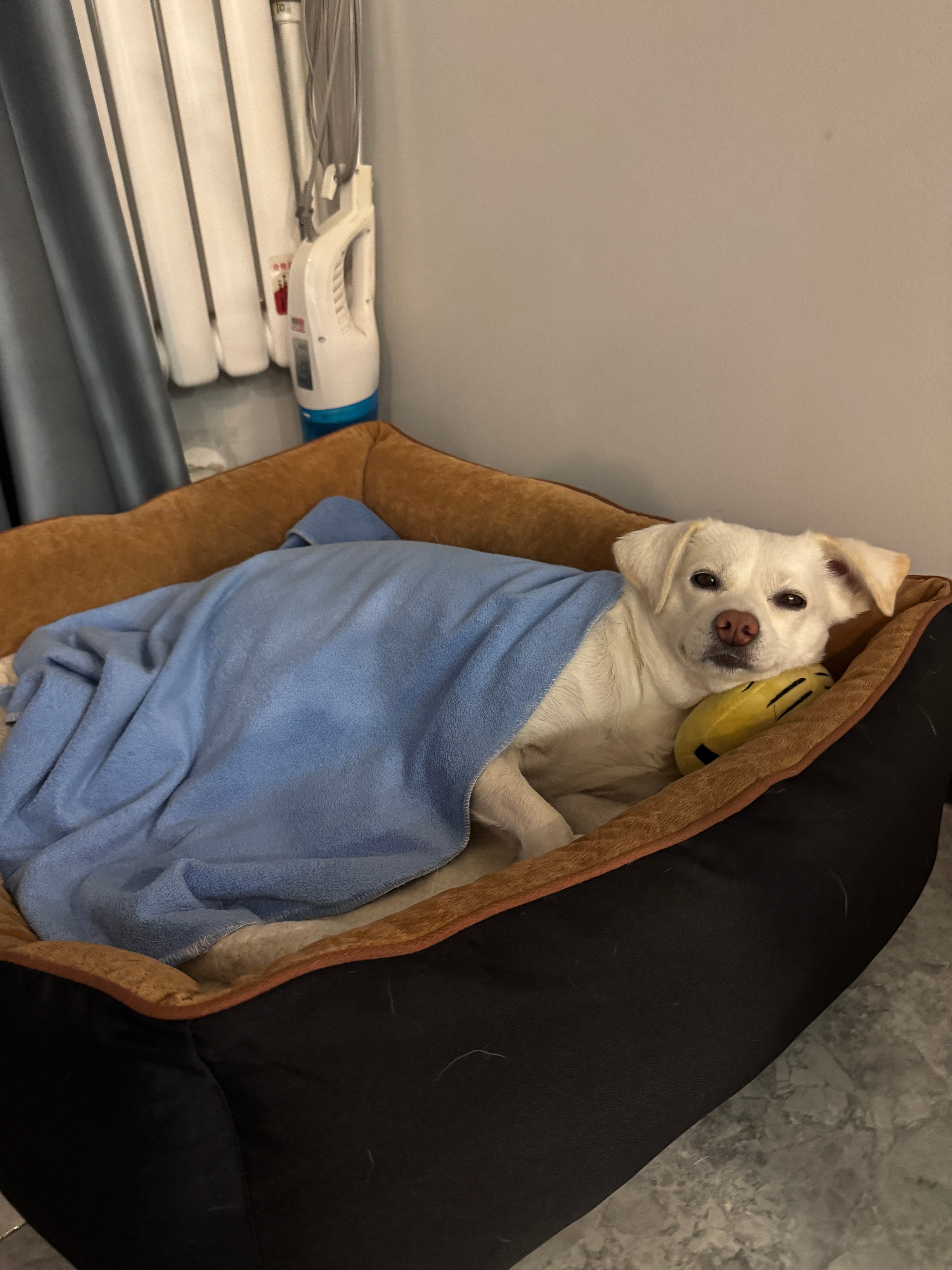 咖啡：人 我已经在被窝了 你呢？ ​​​