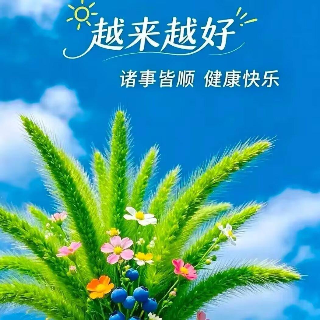 儿子在家待了一个星期回湖南了，儿媳挺着大孕肚送到小区门口，依依不舍。

我和吴先