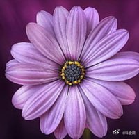 《中华苏维埃共和国刚成立时由毛泽东担任主席，那你知道总理的职位又分别由谁来担任的