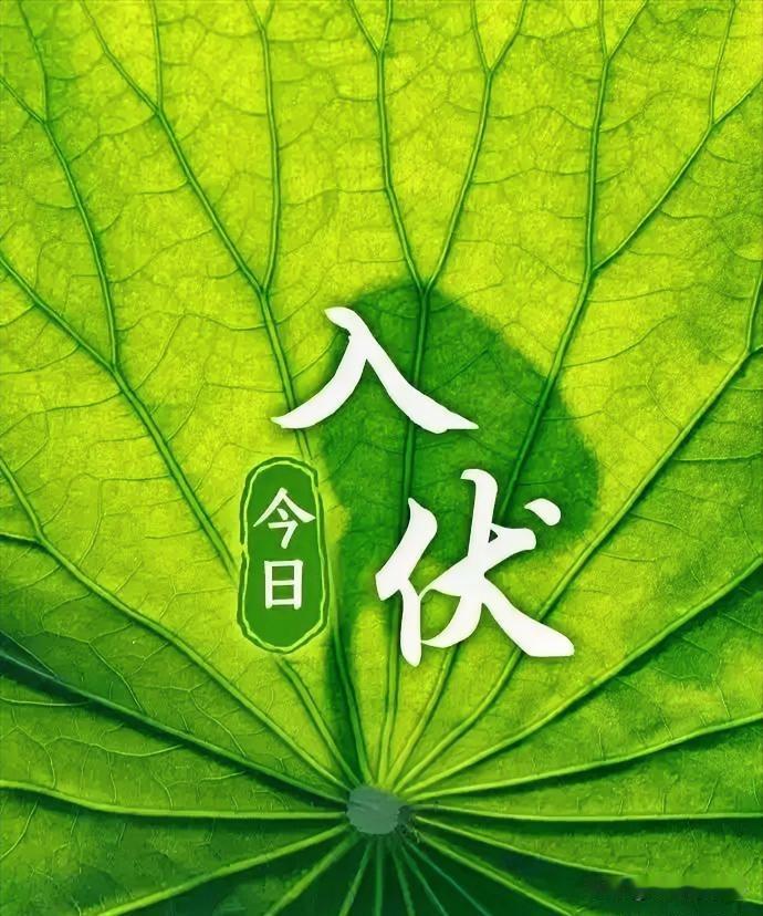 今日入伏！上午9点56分正式进入伏天。俗话说：“早入伏，凉飕飕；晚入伏，热死牛”