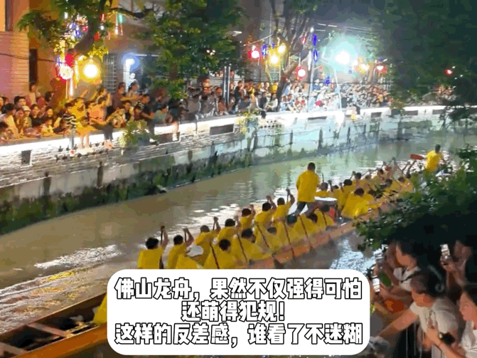 佛山龙舟赛场小猫美美观赛同城热点创作计划 端午佛山龙舟赛事火热上演，各色龙舟水上