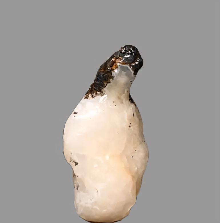 云想衣裳花想容，春风拂槛露华浓……