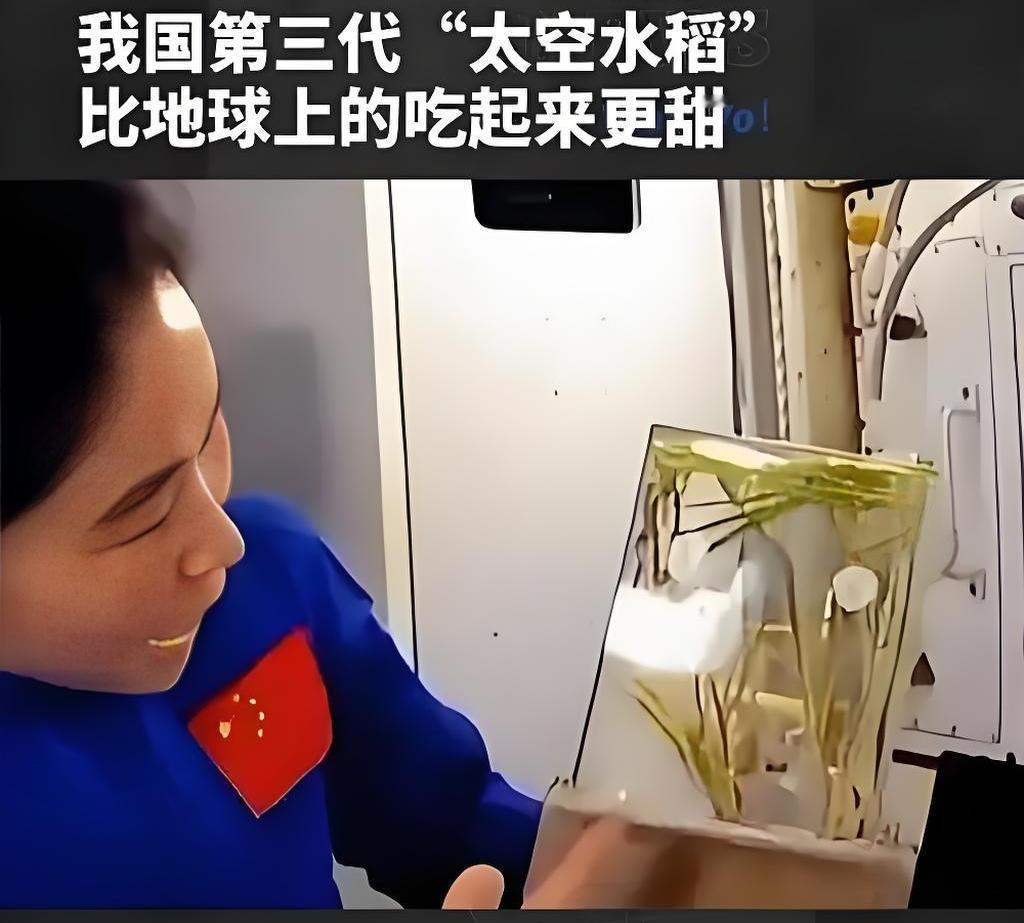 中国人的种地基因真是刻进骨子里的！
 
不管到哪儿，只要有块能用的地方，就想种点