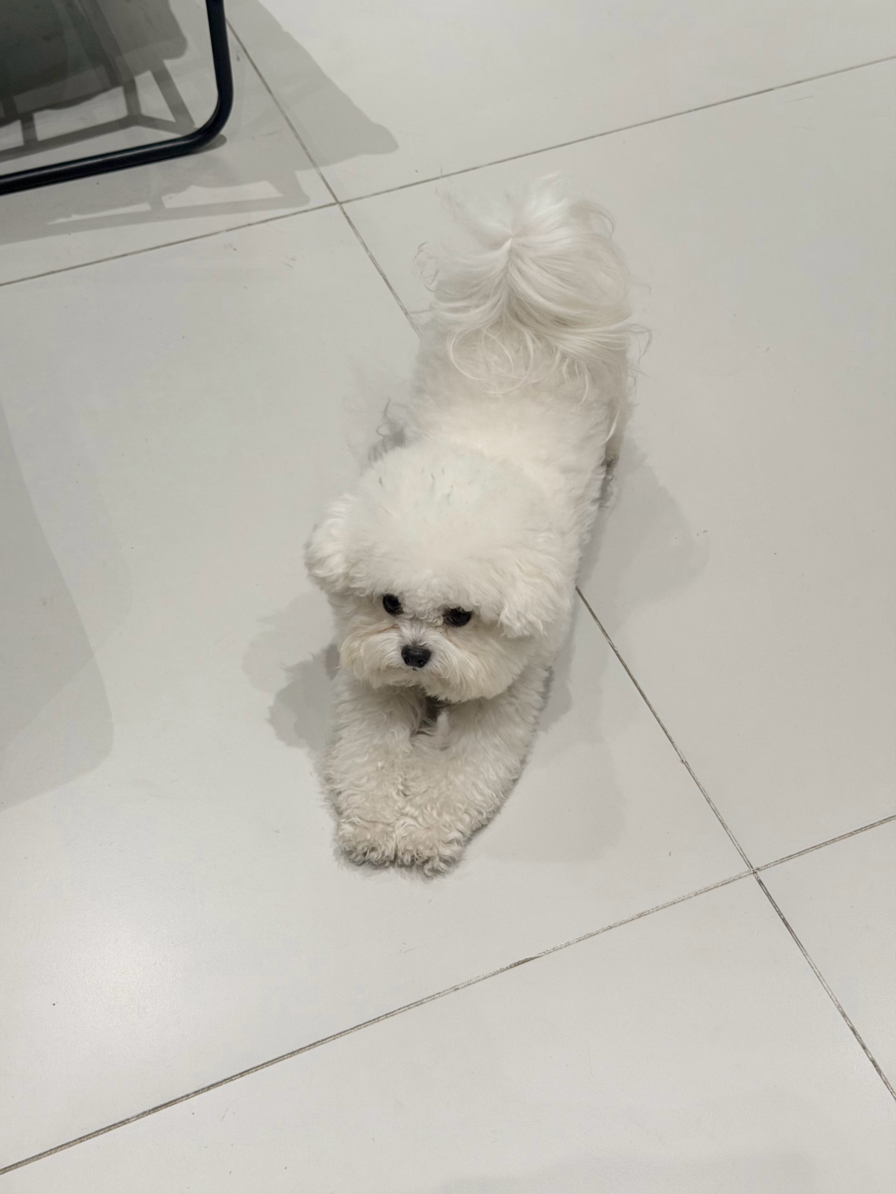 只能靠自己一点一点好起来 ​​​