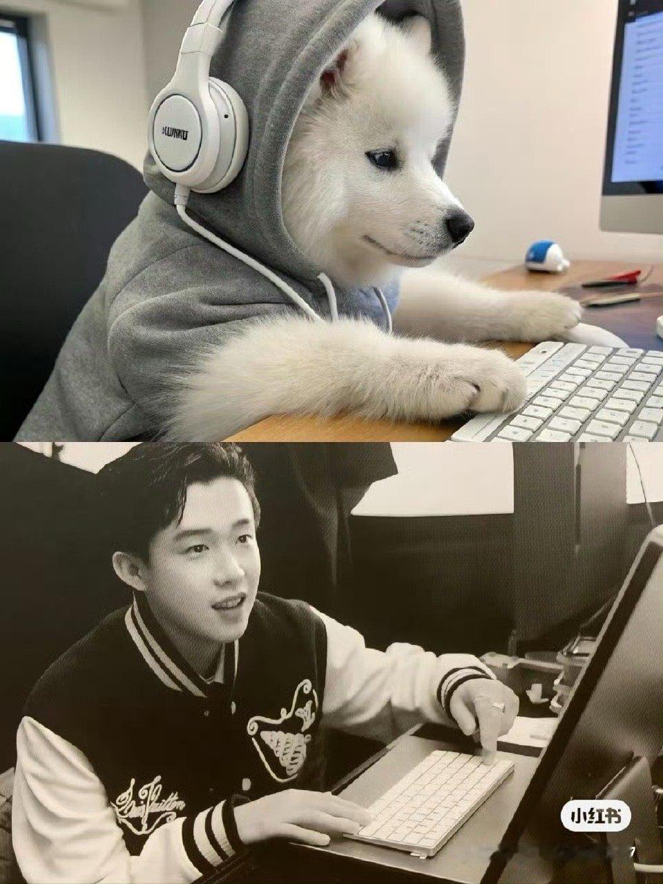 楚钦楚钦 怎么那么可爱呀 