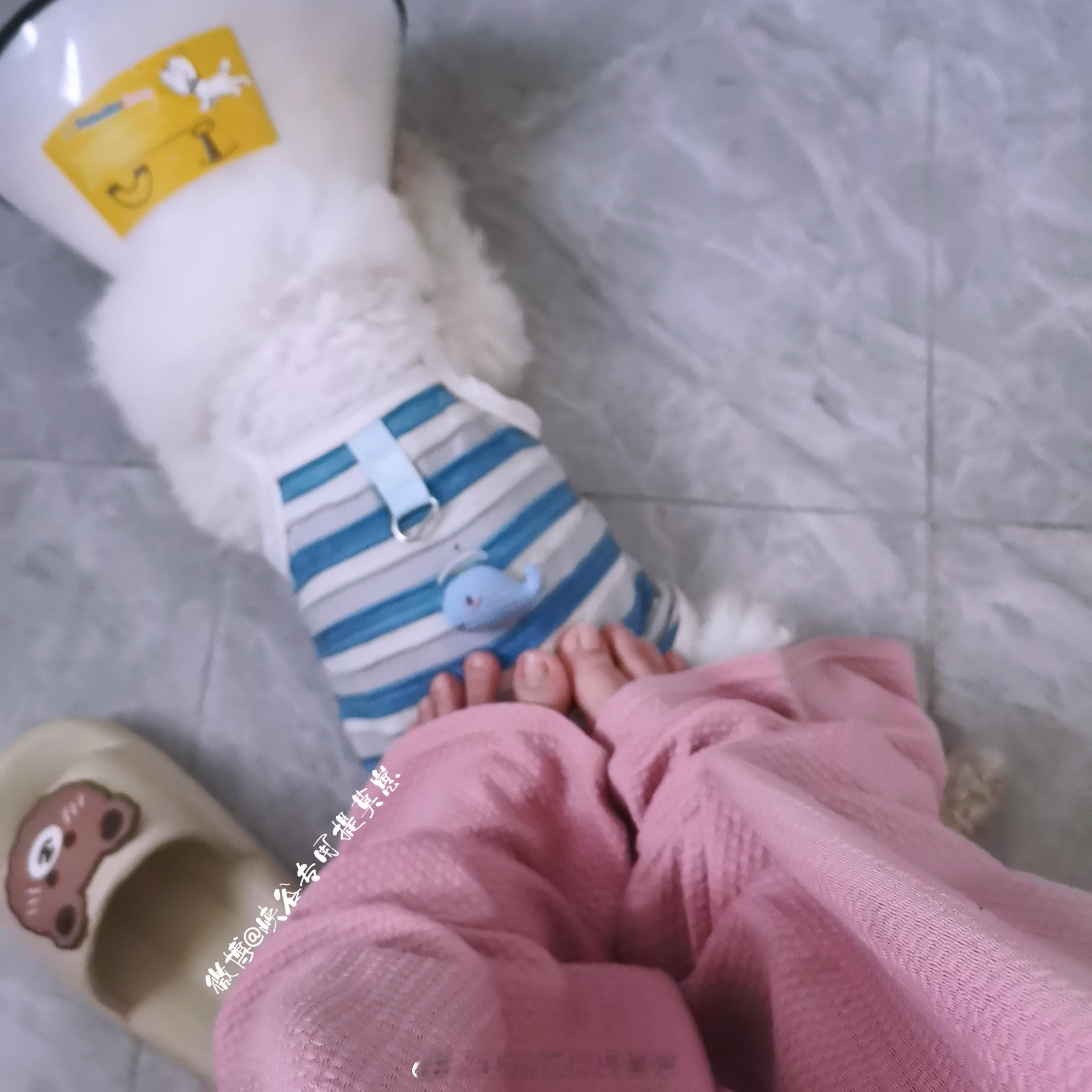 我的蹲坑搭子[耶] ​​​