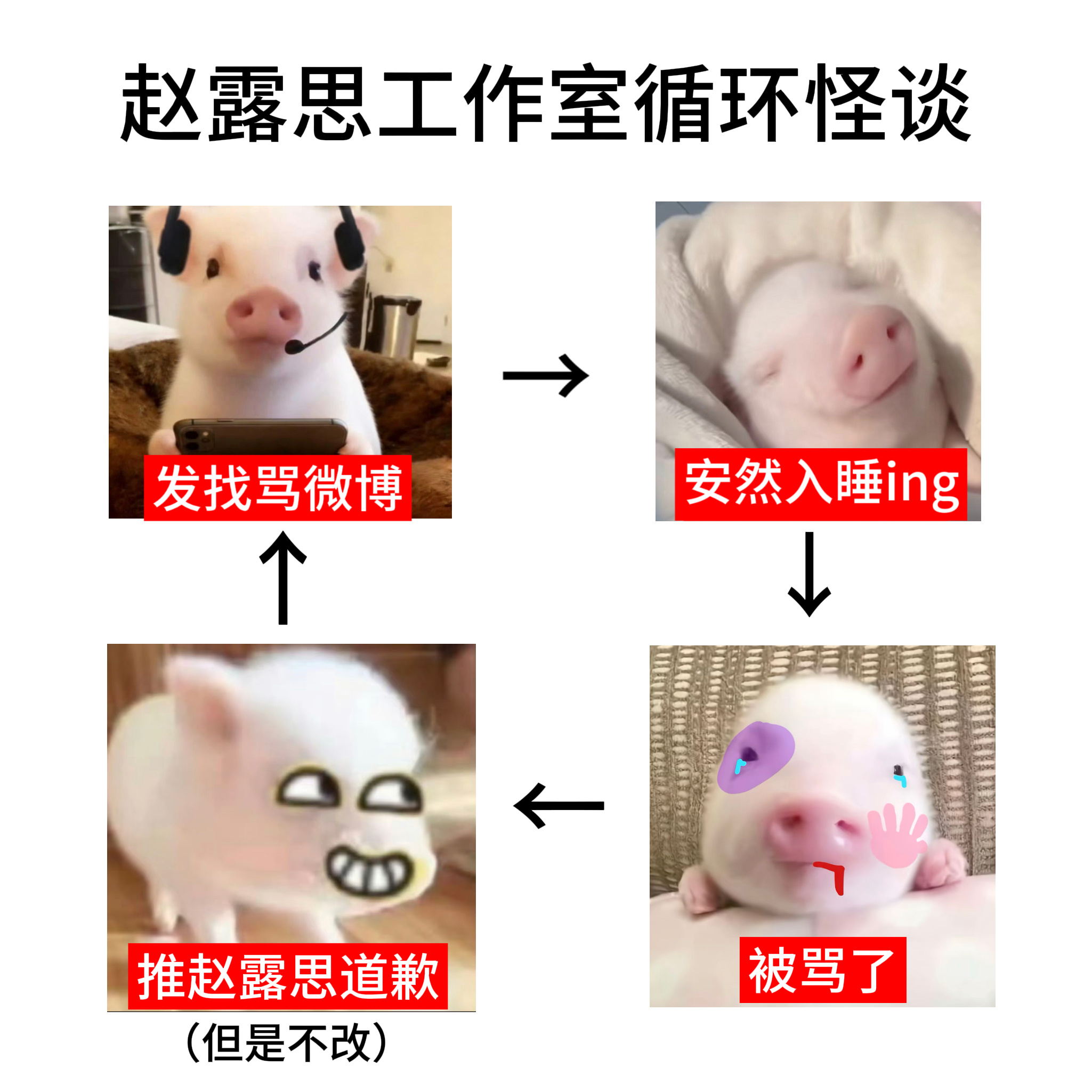 赵露思工作室现状： ​​​