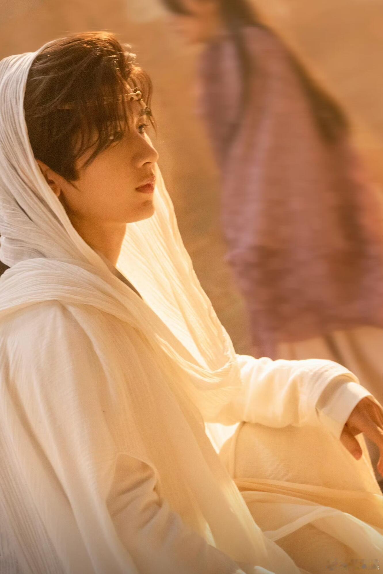 成毅这次完全是主人级别的 西西域的沙狐一出，观众的心都被萌化了，他和小狐狸的互动