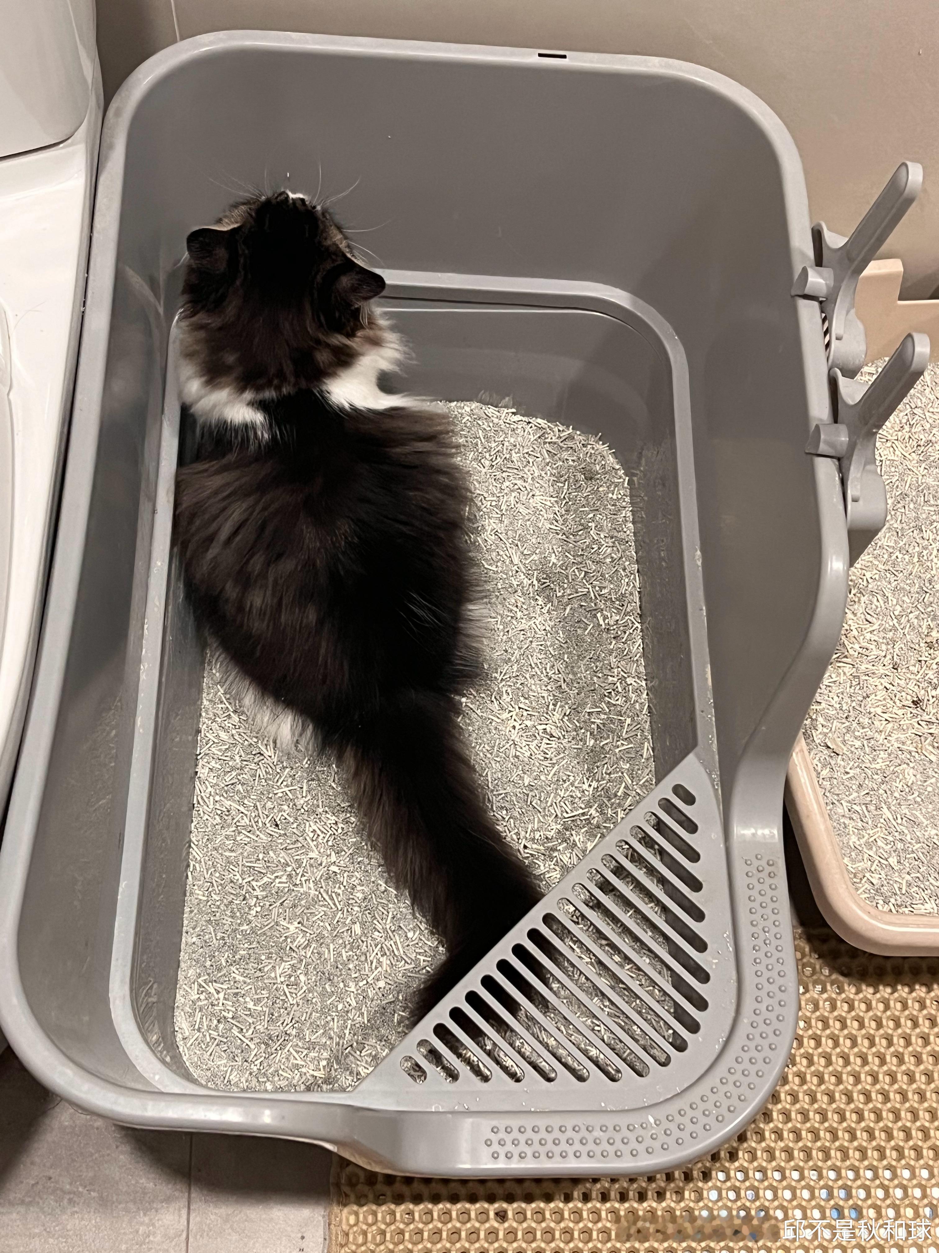 超认真 ​​​