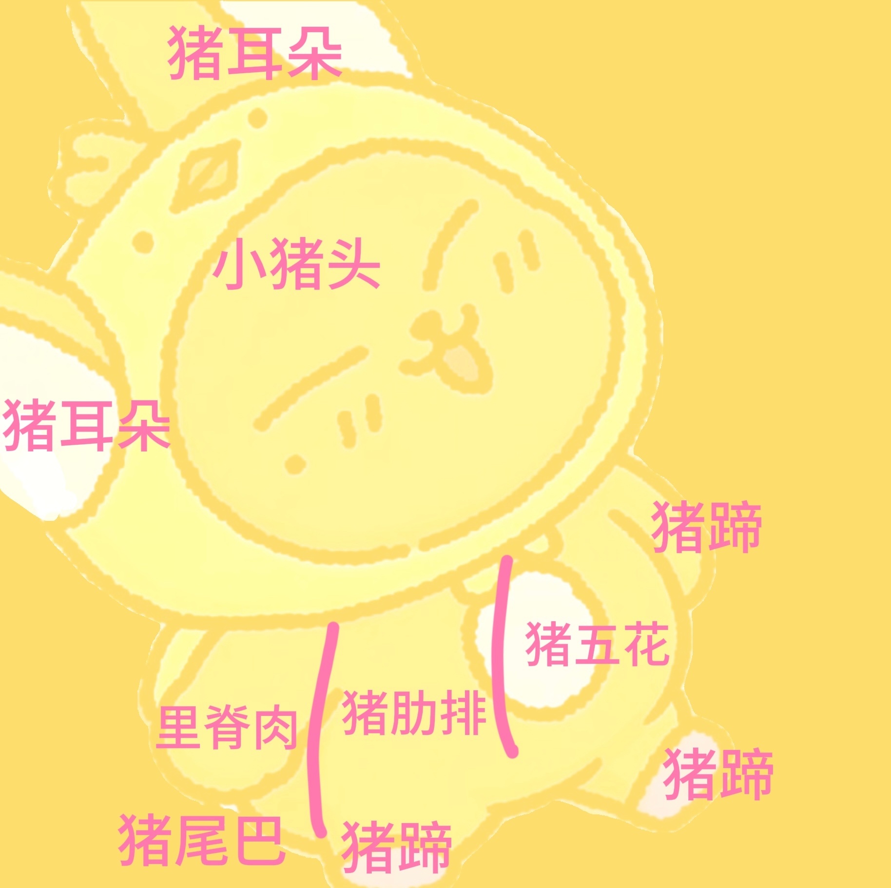 一张图教你认识猪各部位 