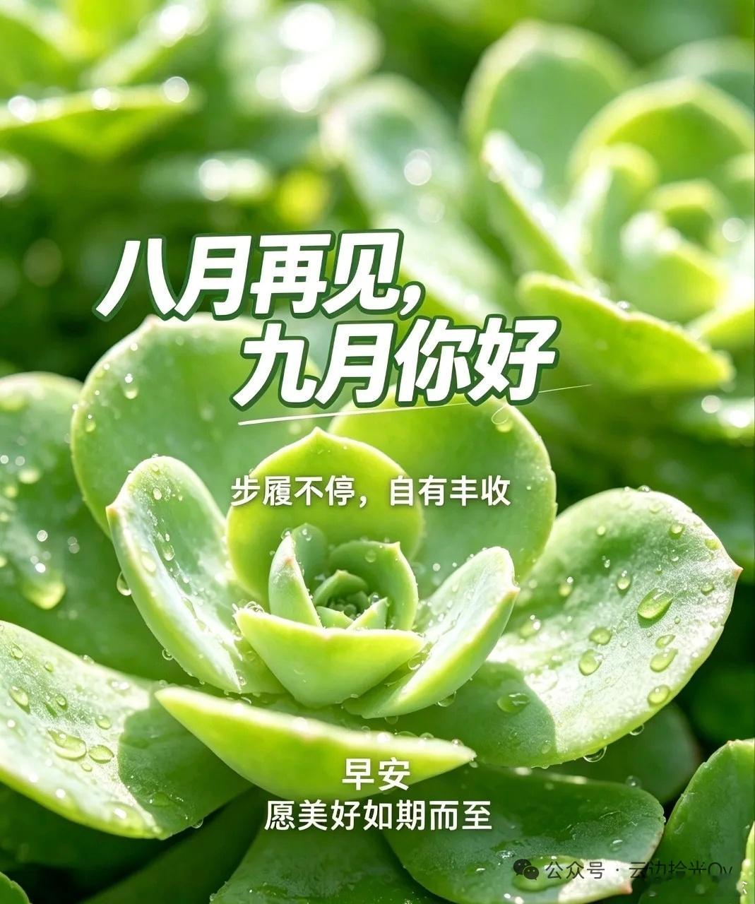 告别八月，拥抱九月八月，像一阵风，把夏天的尾巴轻轻一甩，就消失在蝉鸣渐弱的黄昏里