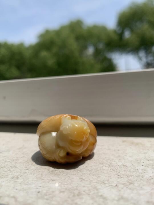 晒晒龟🐢
