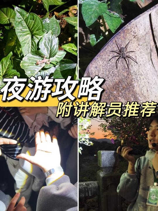 🪲中科院植物园夜游预约攻略（含讲解员推荐）