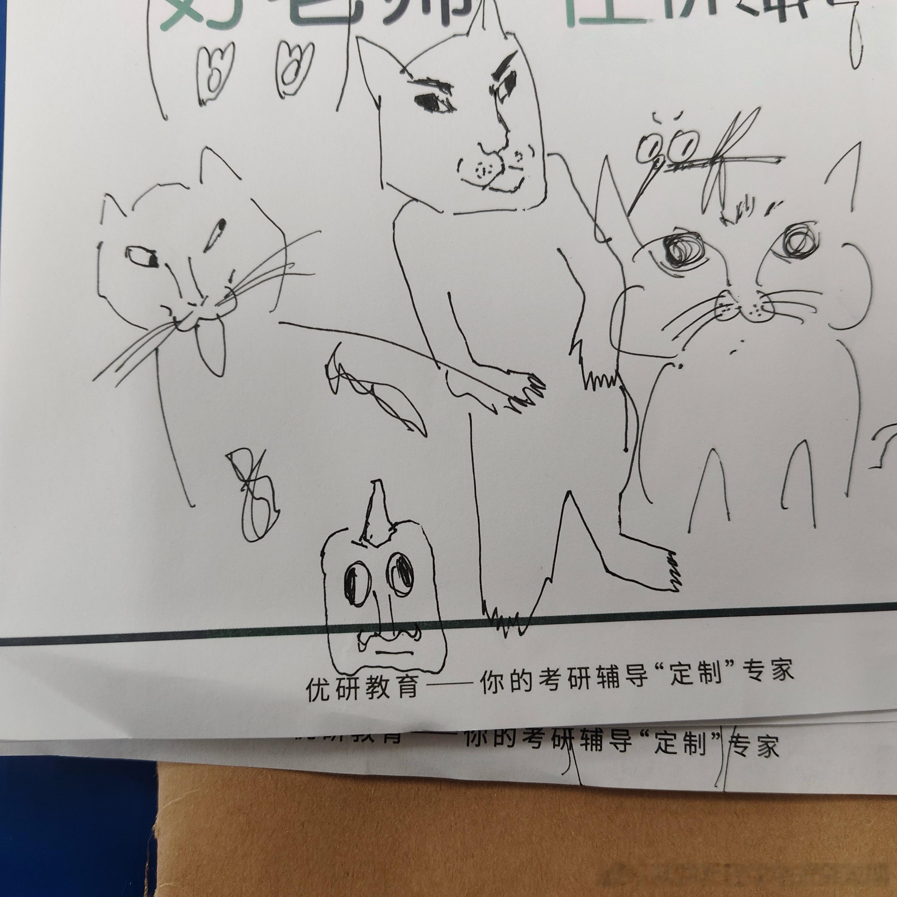 49196【丑猫卢浮宫 】 