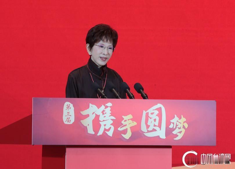 🇨🇳📜💪半生坚守一中！历经换柱风波，洪秀柱矢志推动两岸和平

岛内政坛几