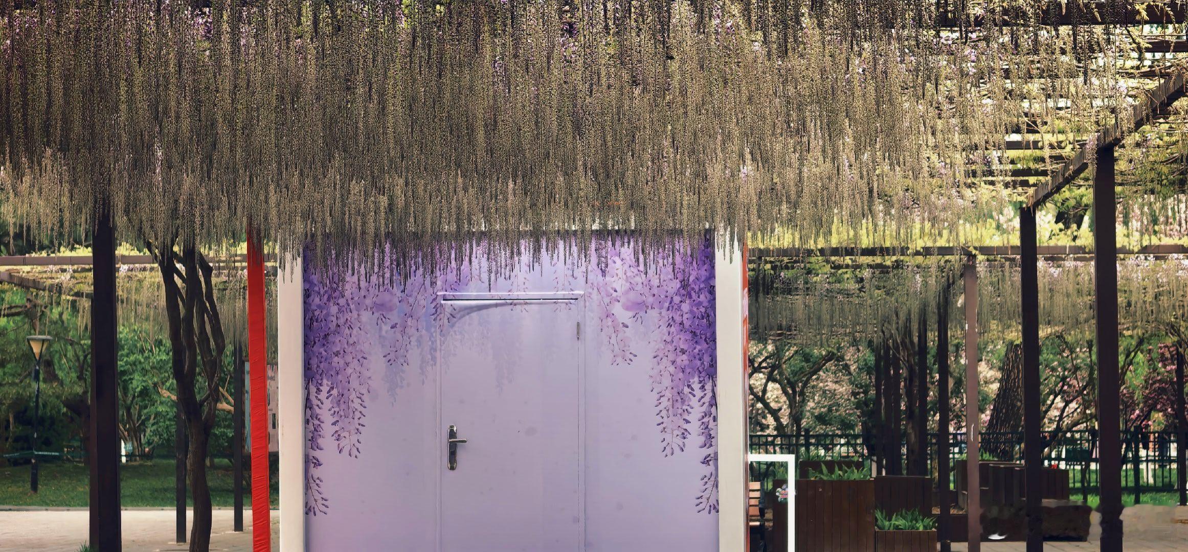 玉渊潭公园，早樱㓔，海棠绽，紫藤花正在路上。菊花桃艳丽，路边镜子里，春色正浓！摄