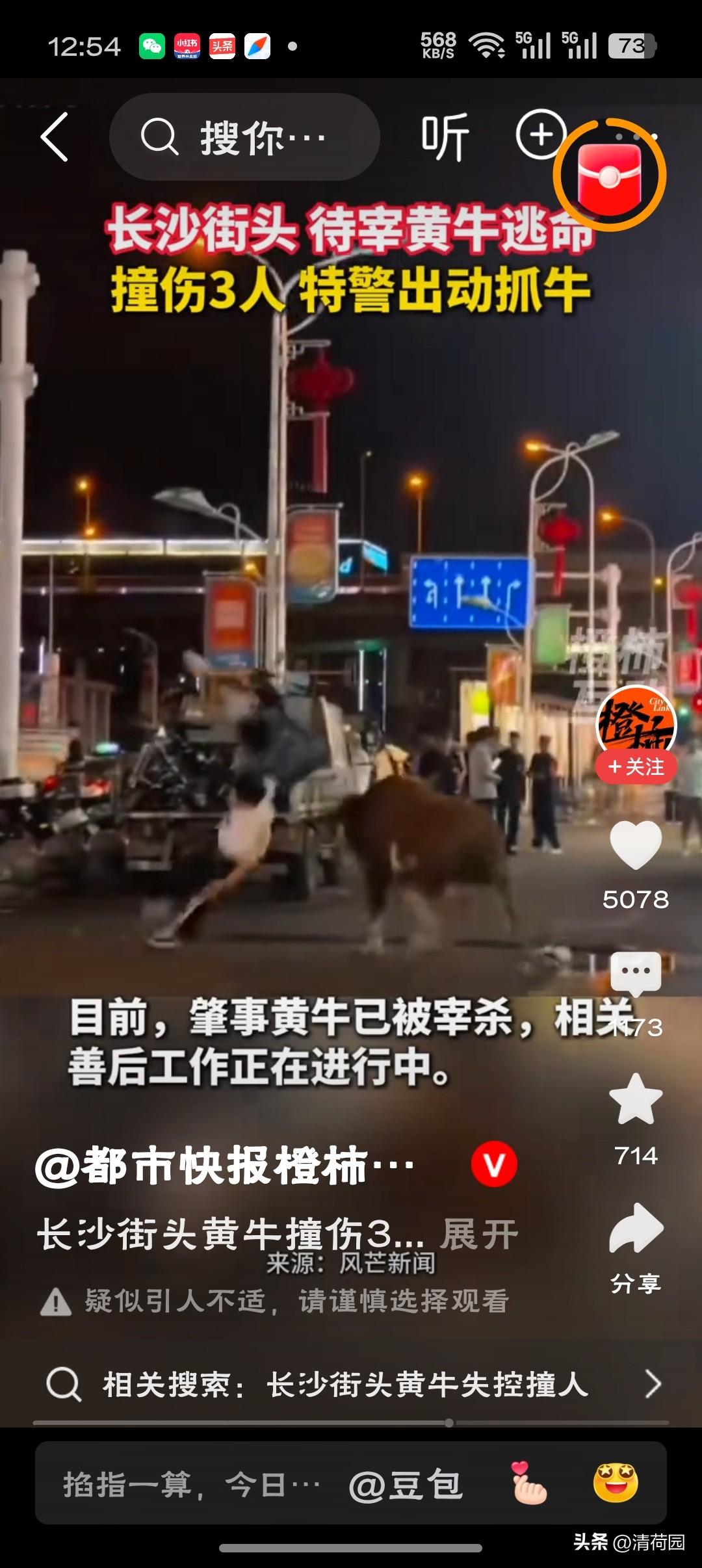 长沙街头黄牛撞伤3人特警出动特警果断处置值得点赞，但闹市待宰牲畜都能冲上街头，说
