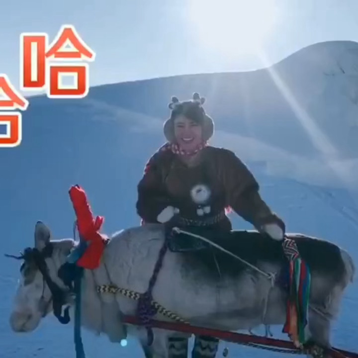 鹿是这样叫的吗？那真是呦呦鹿鸣了！ 