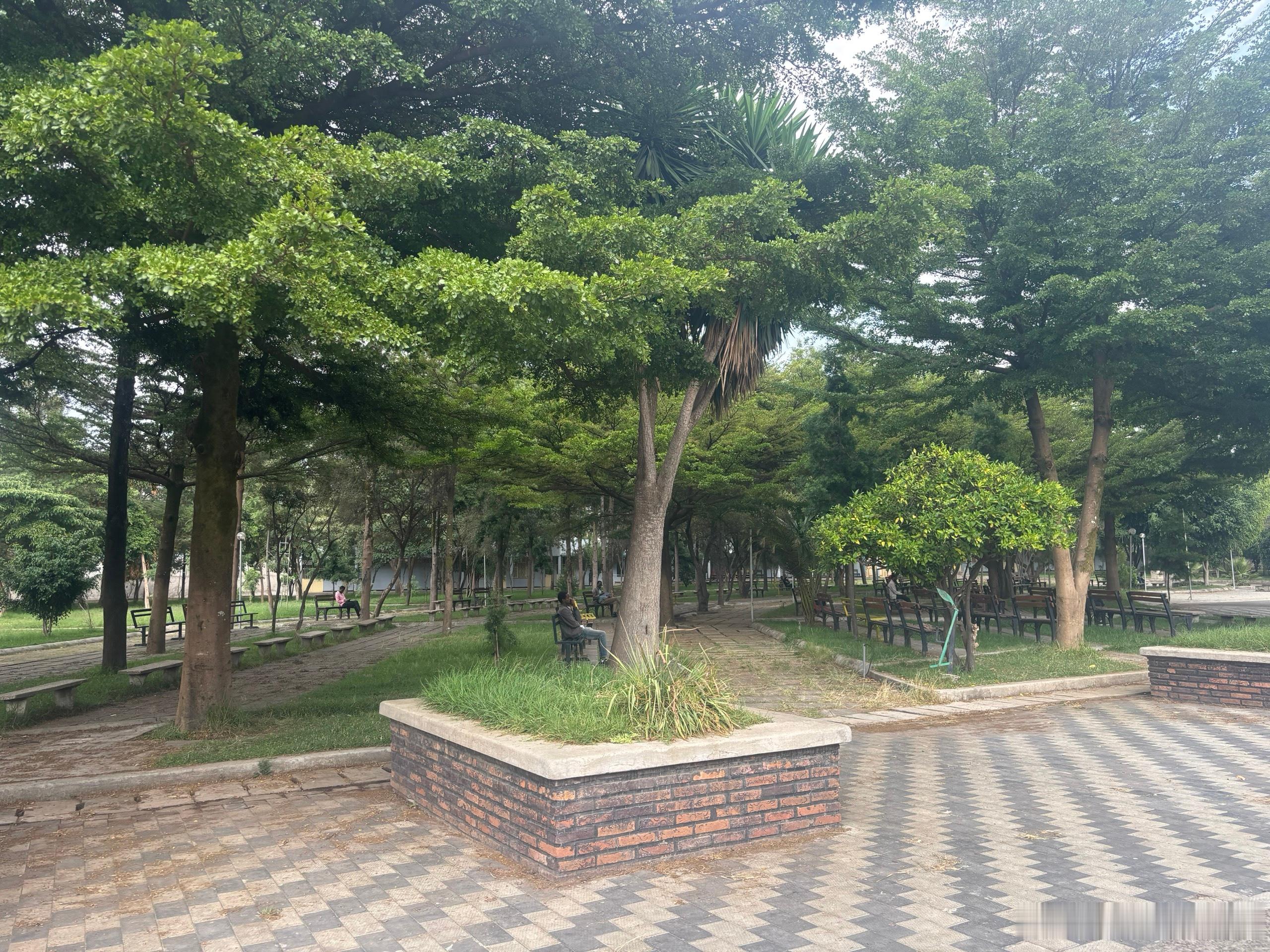 埃塞俄比亚历险记 36    非洲台球厅上午我太懒，没出去，就在房间里用手机看新