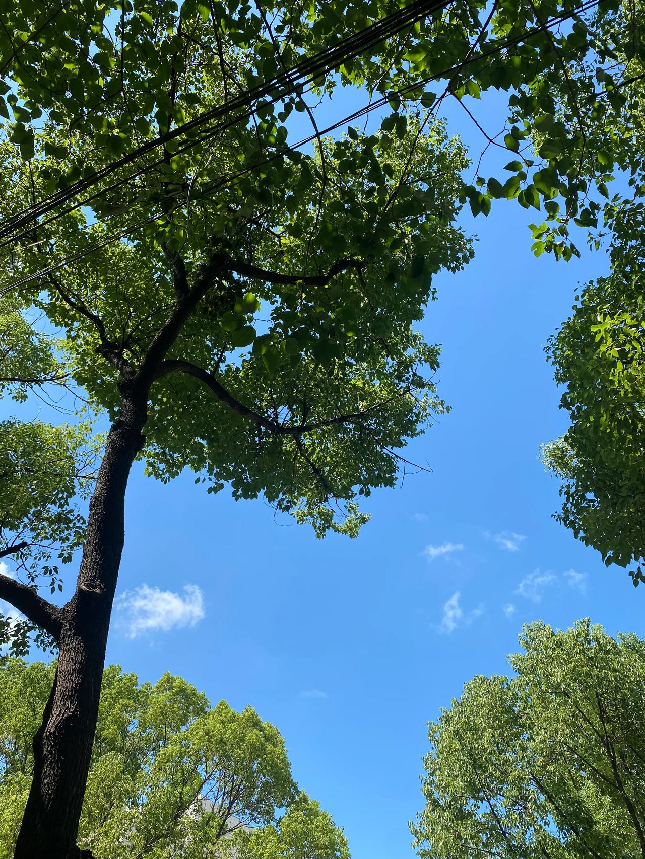 接受这个残缺的自己

最近，无论是读书还是写作，我都对自己产生了一种怀疑感，尽管