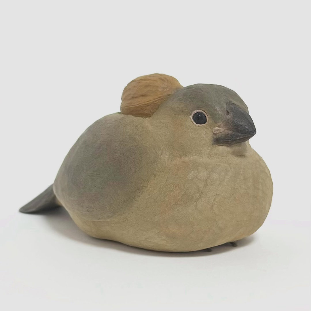 🐦小鸟与核桃 