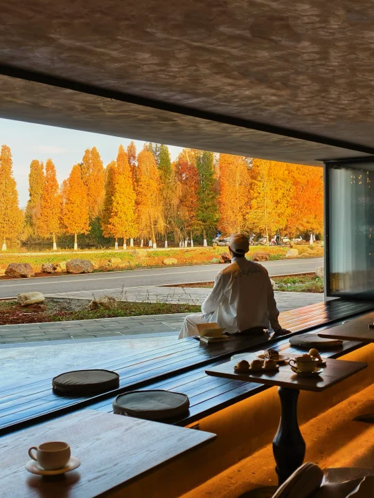 生命就应该浪费在这种地方啊😭