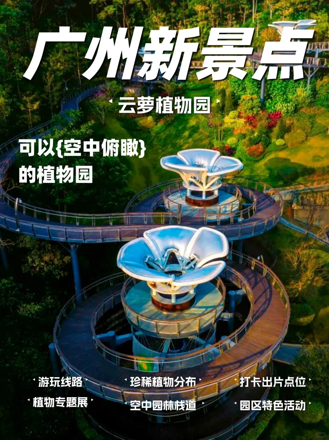 上天吗？去逛广州可以在空中俯瞰的植物园