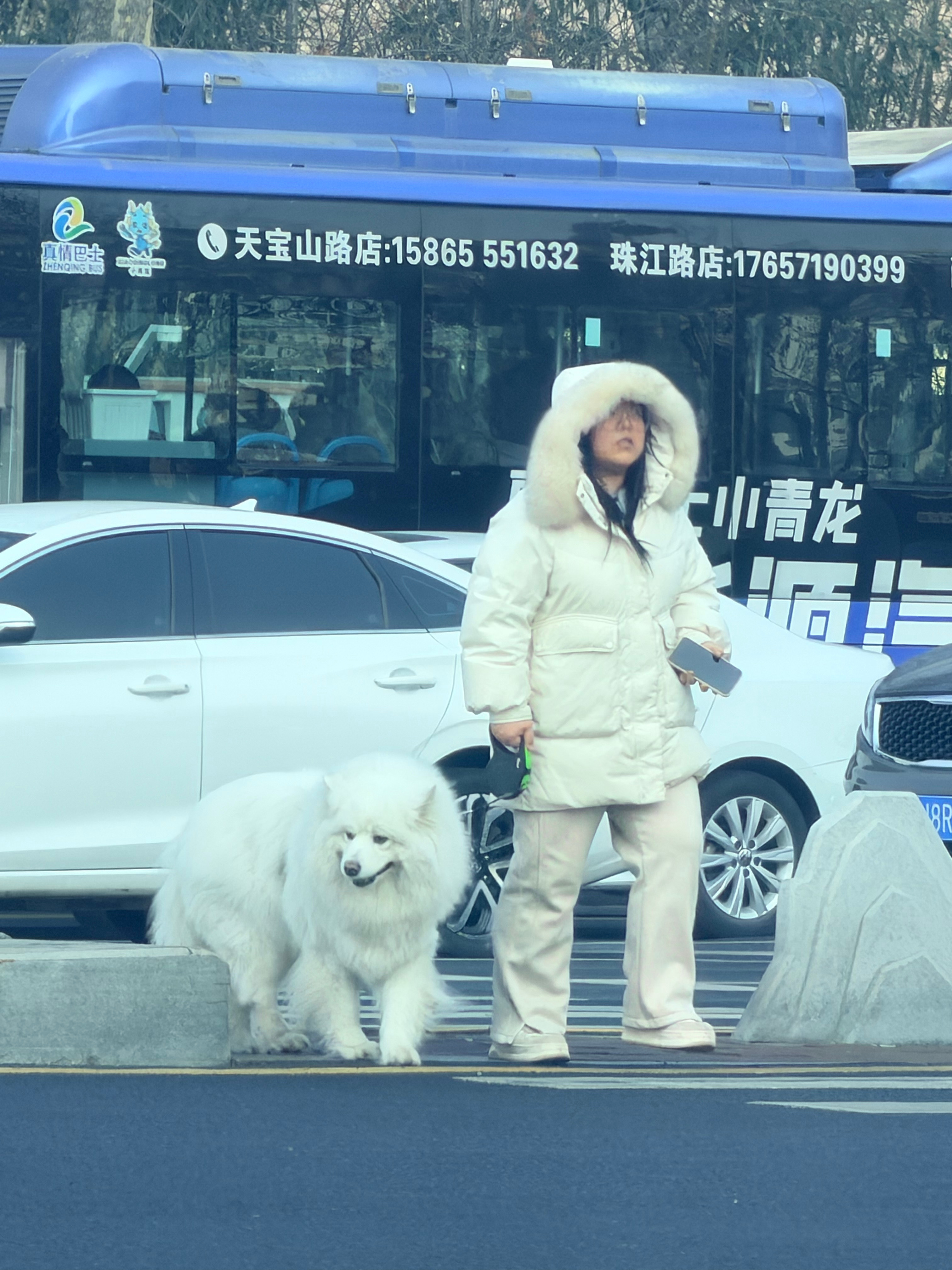 我滴妈呀，这大狗狗太可爱了吧 青岛