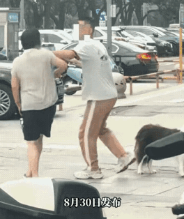 一女子遛狗，不栓绳，咬到人后不管不问想溜走，被害者拦住不让走。

城市里明令禁止