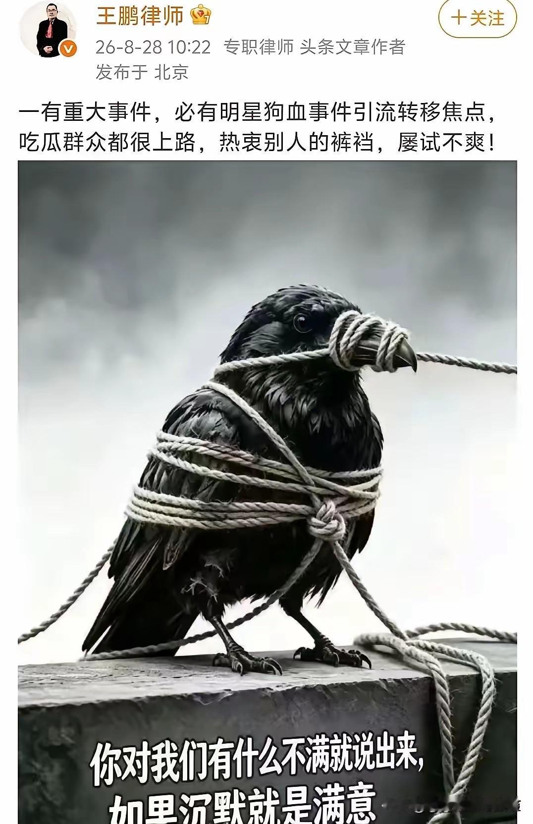 这位律师的发言非常有震撼力

不过
捆住鸟的绳子不止一条

钱不够捆住翅膀
知识