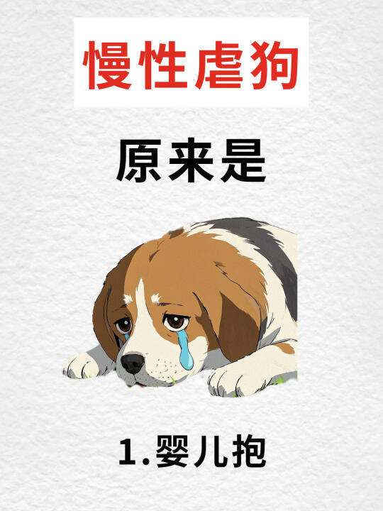新手养狗必看！这些行为正在慢性虐狗