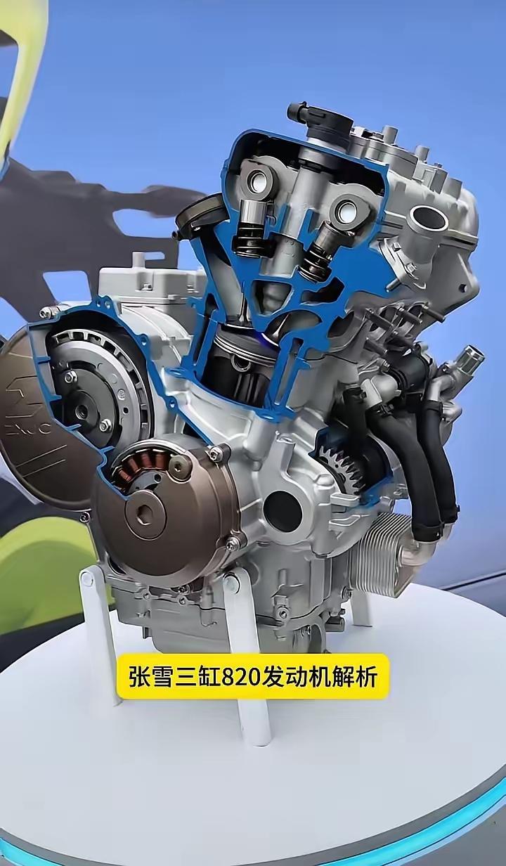 刷到一条新闻，愣了半天。

一个初中没毕业的修车工，在葡萄牙拿了个世界冠军。WS