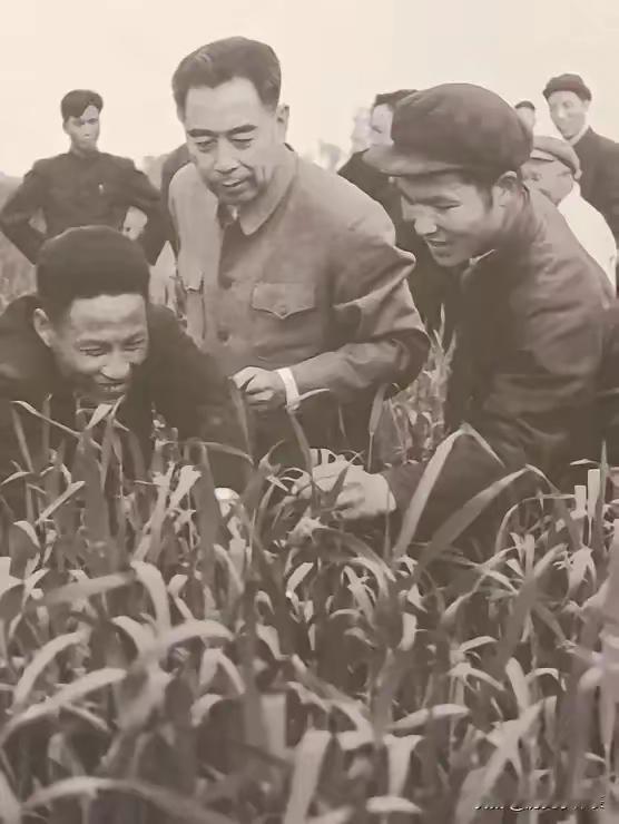 初心不改，百姓至上！这才是最动人的底色
 
有人问，什么样的人最值得尊敬？不是位