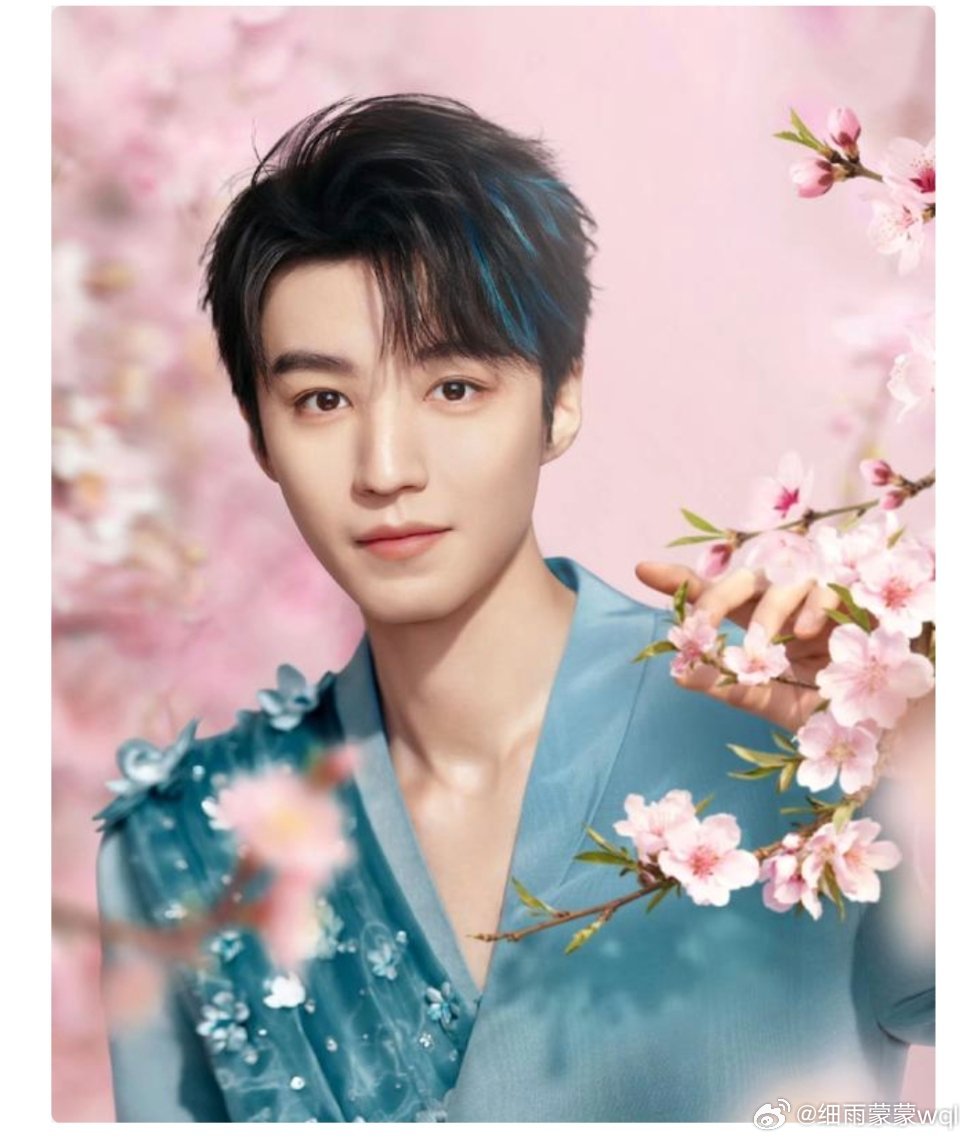 王俊凯和花西子一起耍花朝花西子以传统花朝节为契机，携手全球彩妆代言人王俊凯推出线