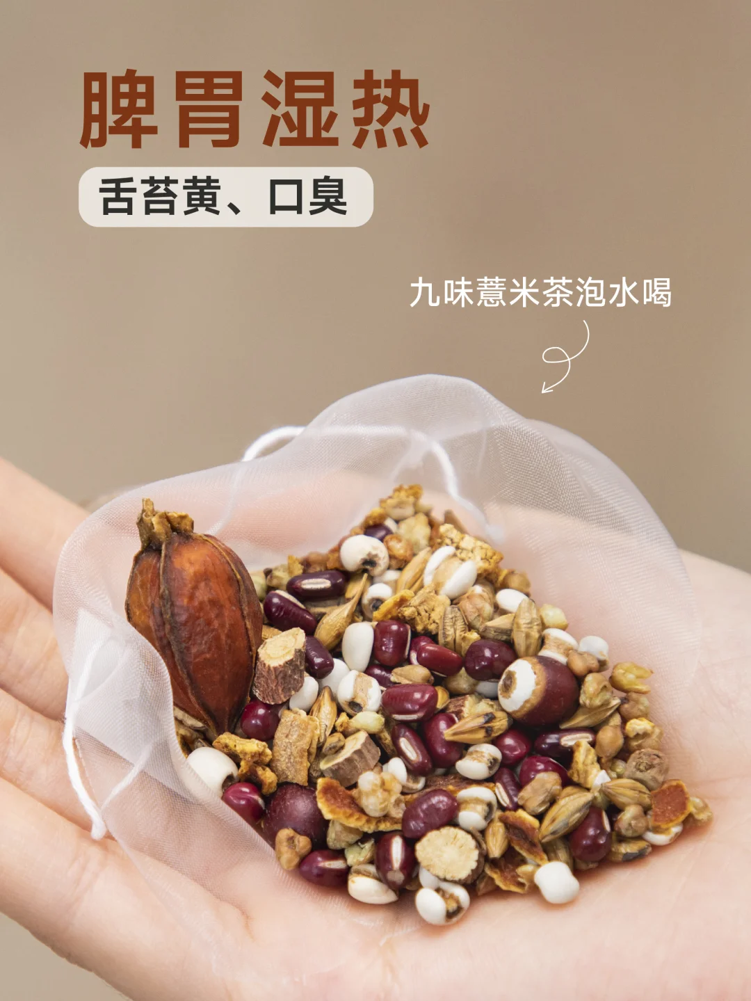 脾胃湿热|舌苔黄、口臭，适合喝的清爽茶
