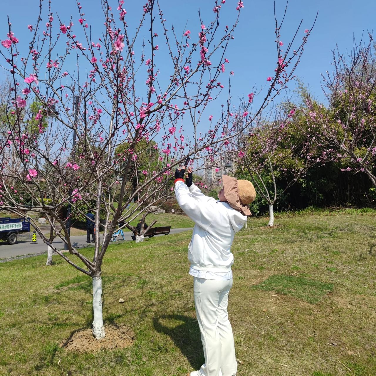 春日生活打卡季