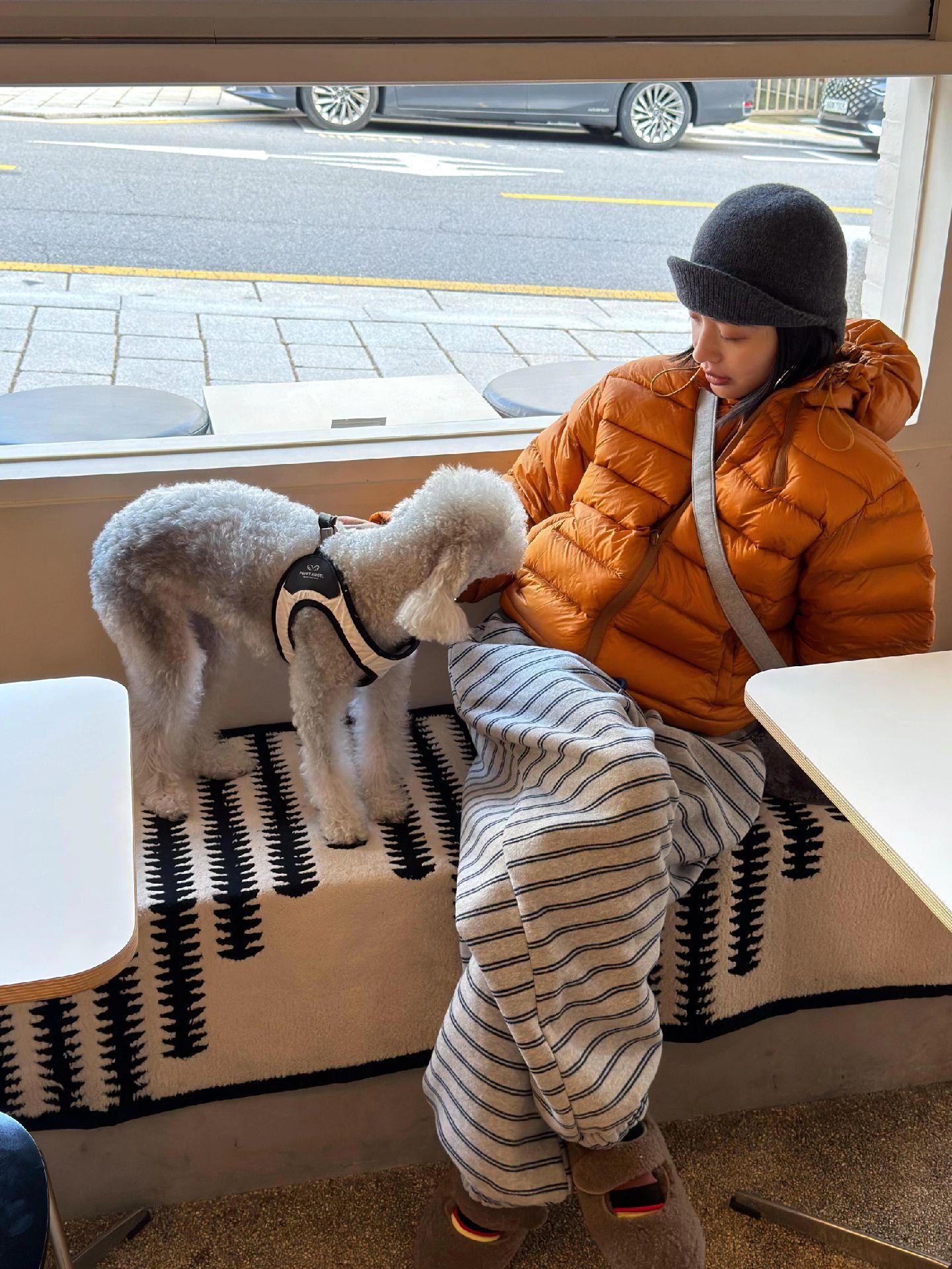 质疑韩女 成为韩女