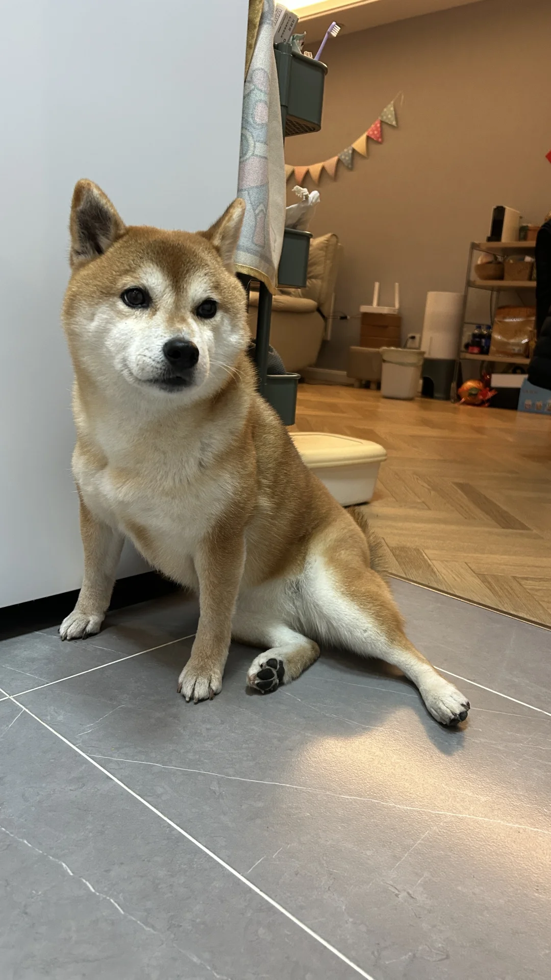有点姿色
