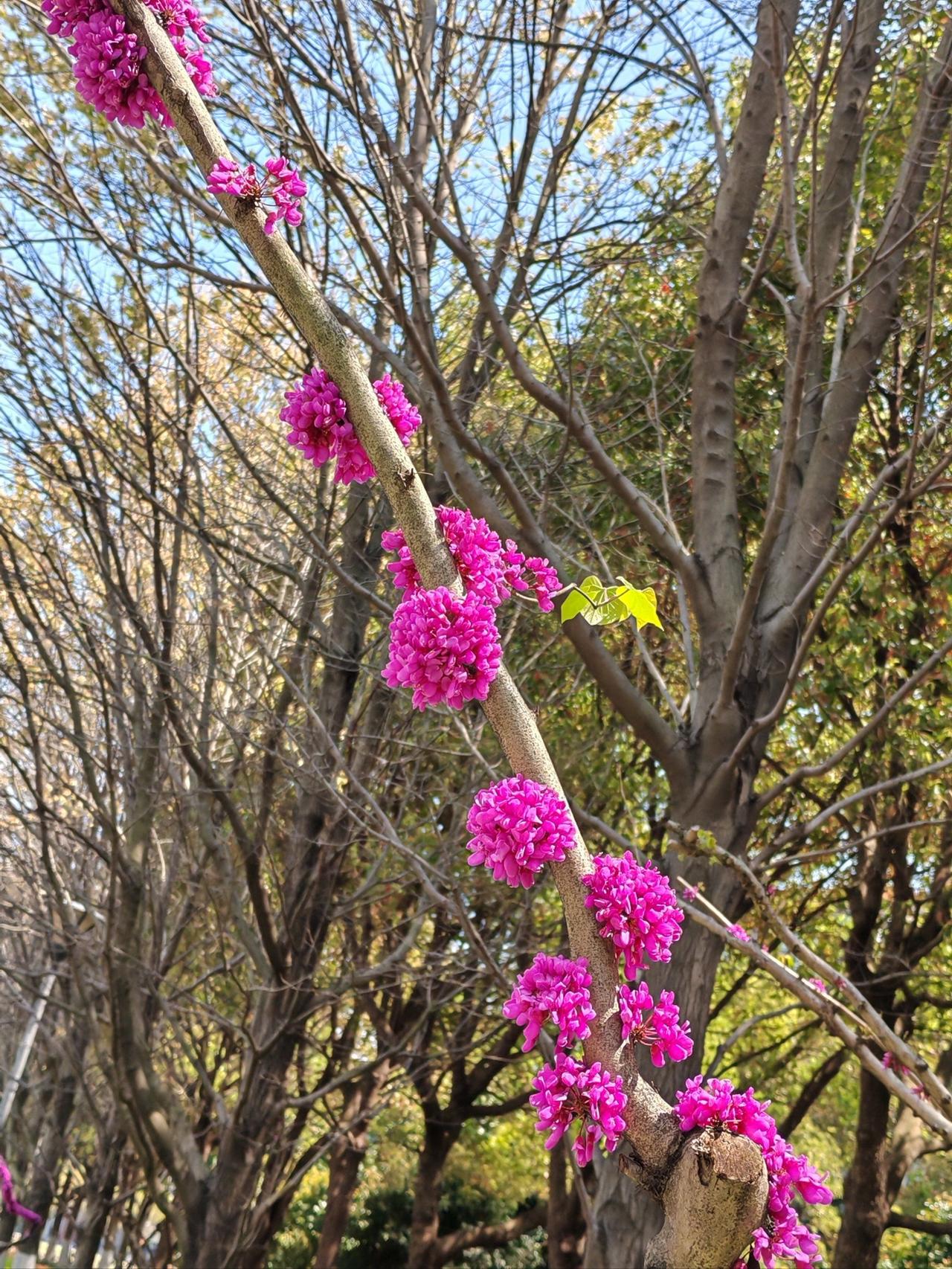 -7pTUW0Q


（央视新闻）能做到这3个动作，说明你的身体很强壮！