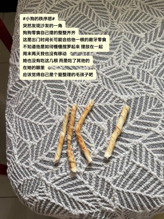 📝小狗的秩序感