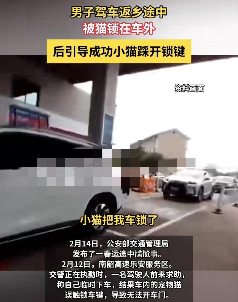 南韶高速乐安服务区一车主在驾车放江途中，在服务区临时下车时车上的宠物猫误触了锁车