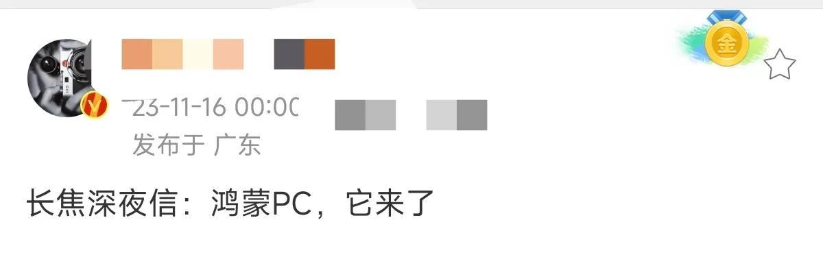 鸿蒙PC出来，生态进展应该就更快了吧，各种库，各种应用移植，各种测试就方便了吧，